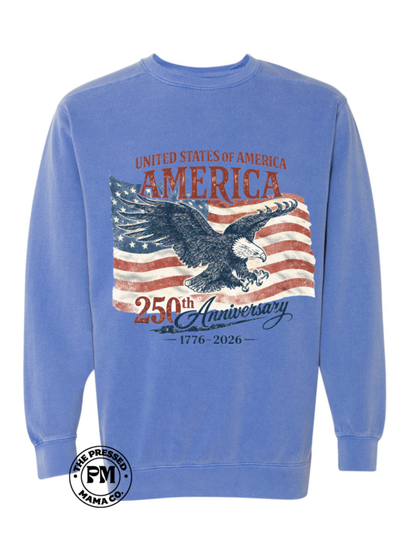 USA America 250th Anniversary (tee or crew)